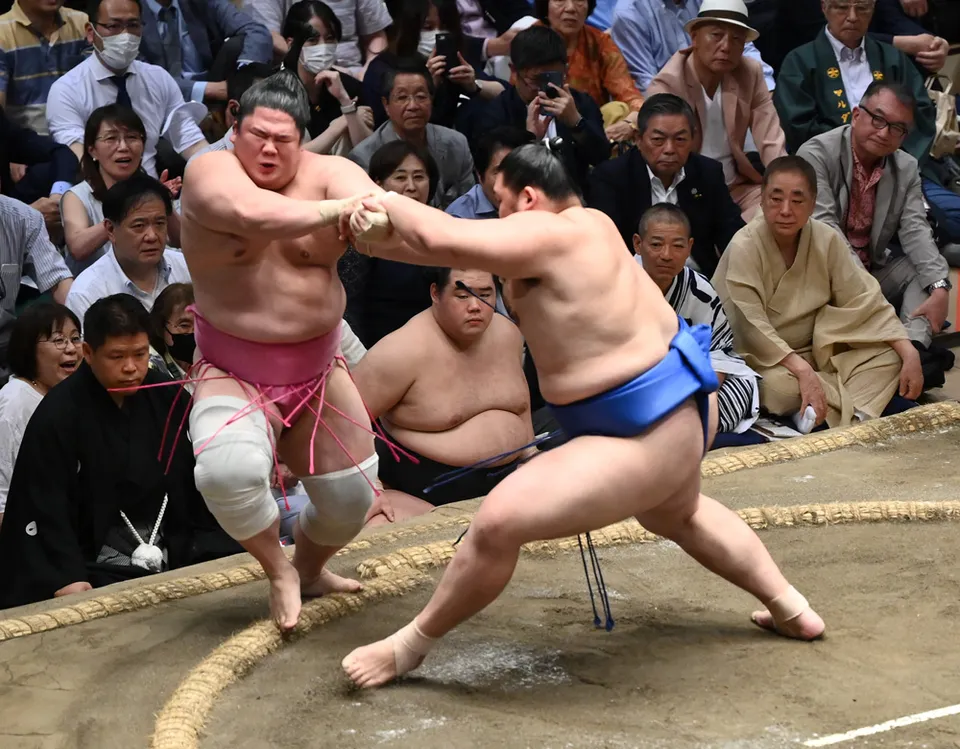 大相撲 の 結果 最新の勝敗情報をお届けします